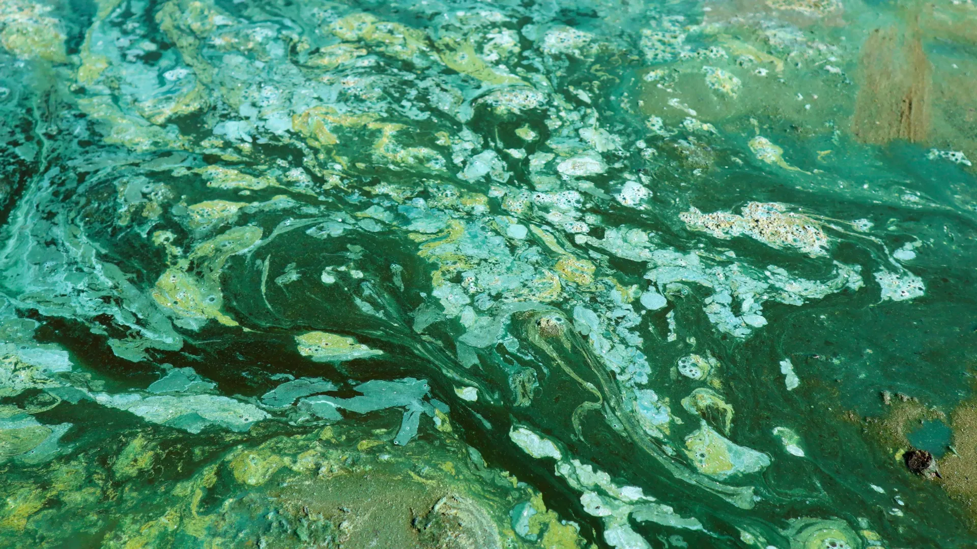 Cientistas descobrem o que atrasou o boom de oxigênio da Terra em um bilhão de anos