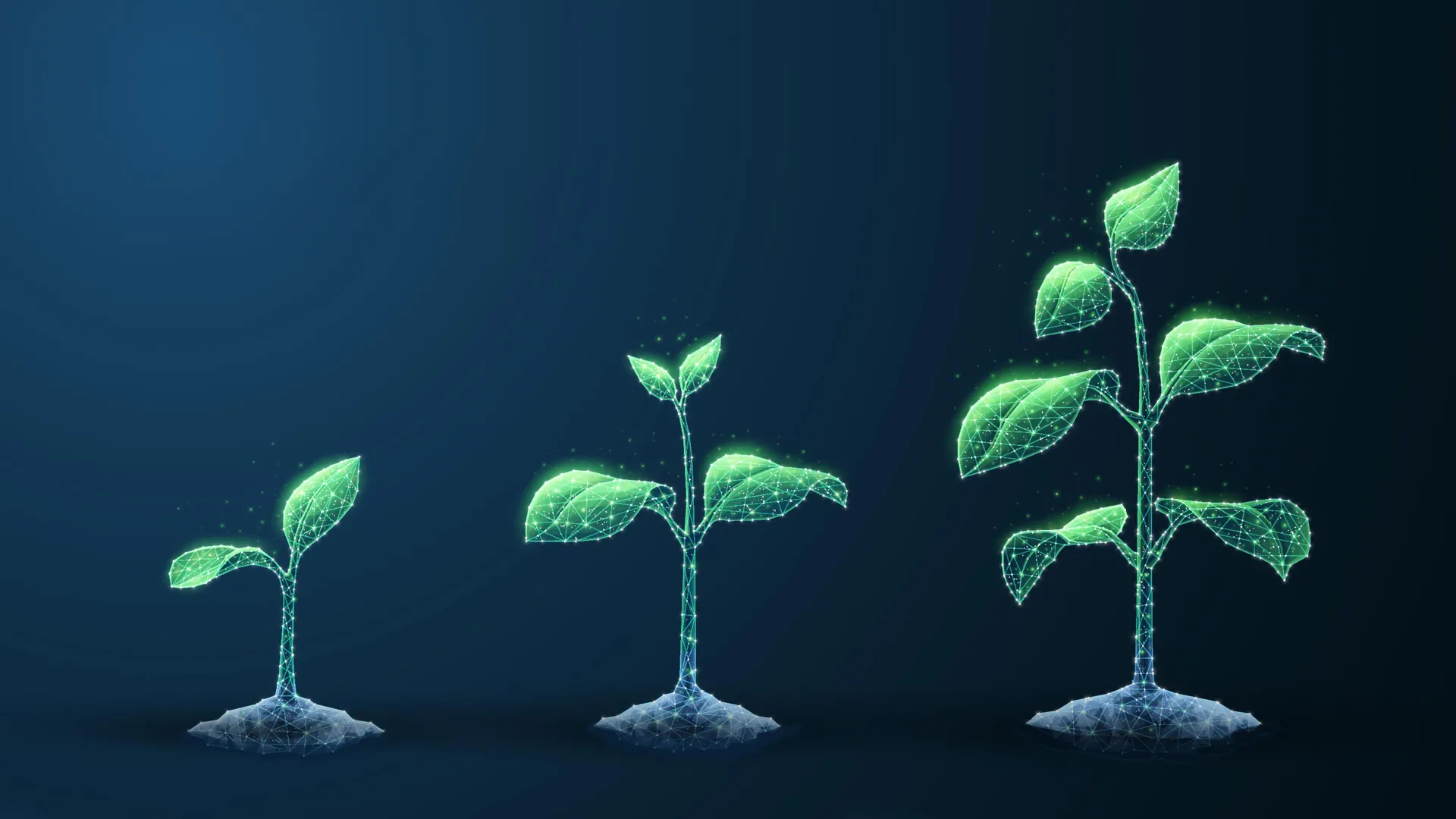 Cientistas descobrem uma lei universal oculta que limita o crescimento da vida