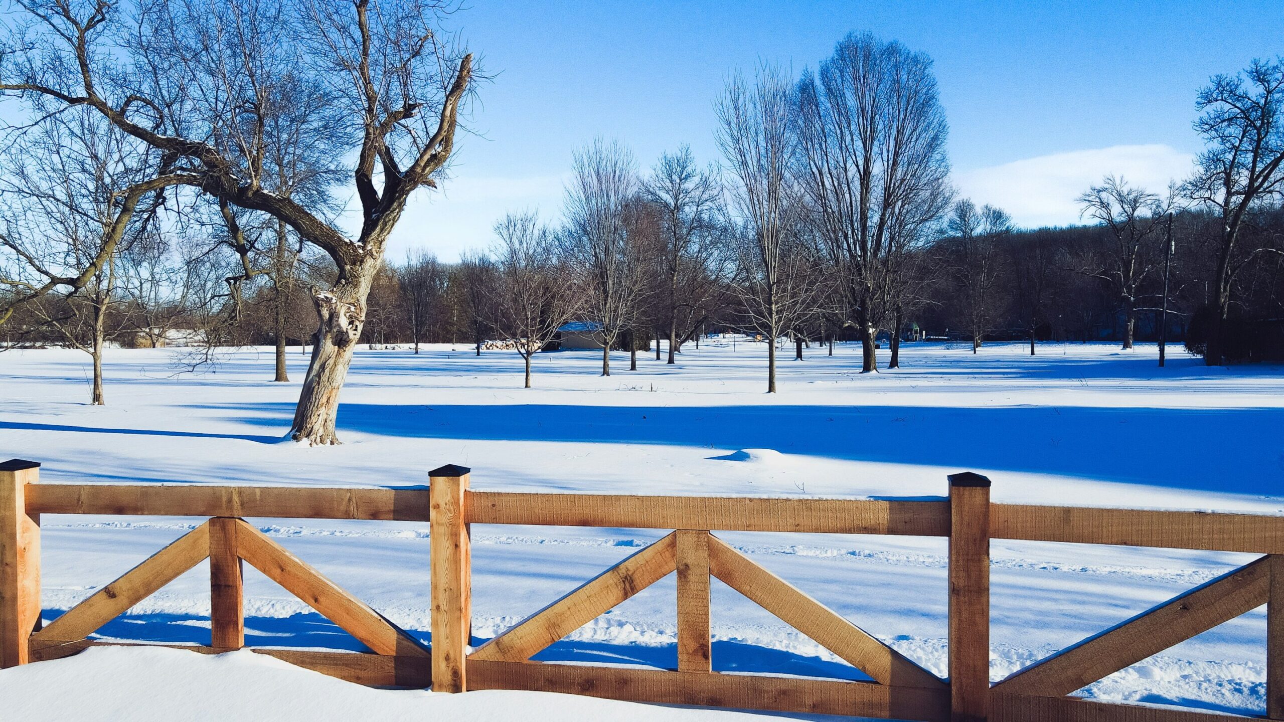 Cientistas documentam aumento de mortes relacionadas à temperatura nos EUA