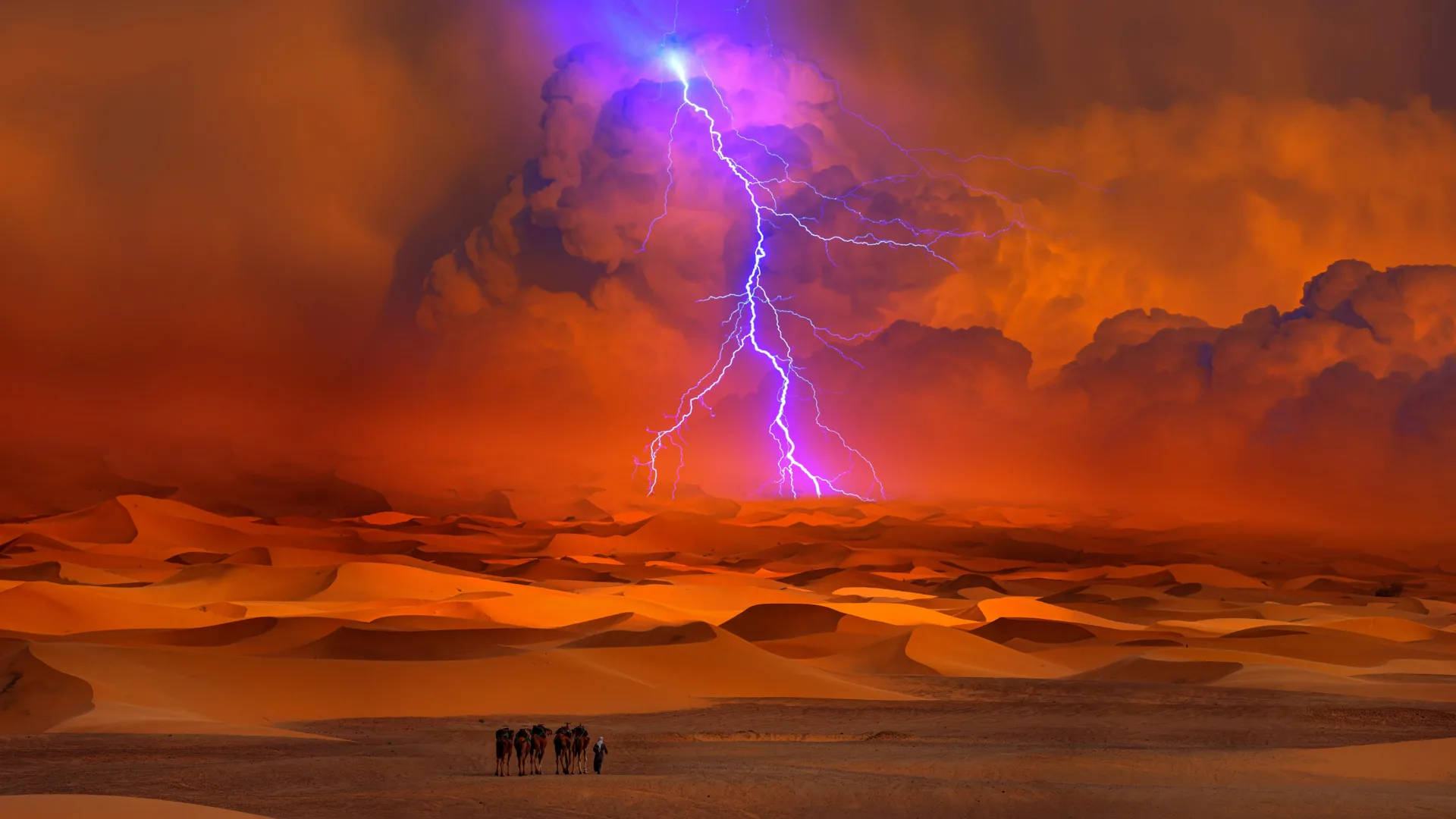 Cientistas prevêem um futuro mais úmido e verde para o Deserto do Saara