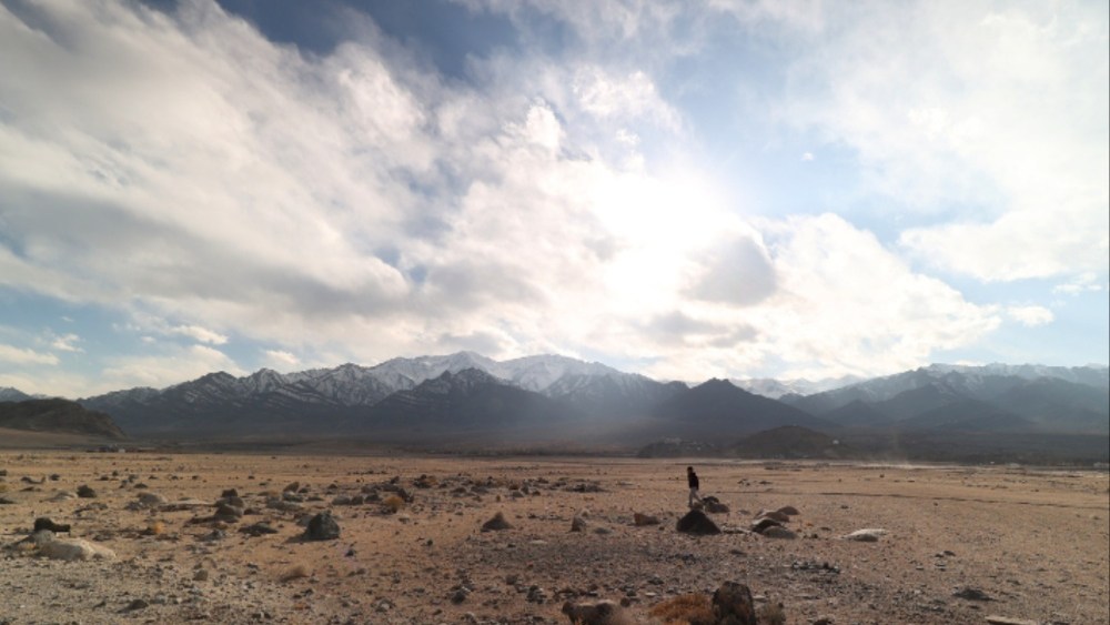 Conselho de produtores franceses de 'Wolf Dog' WAVES Film Bazaar Project 'Idiot'