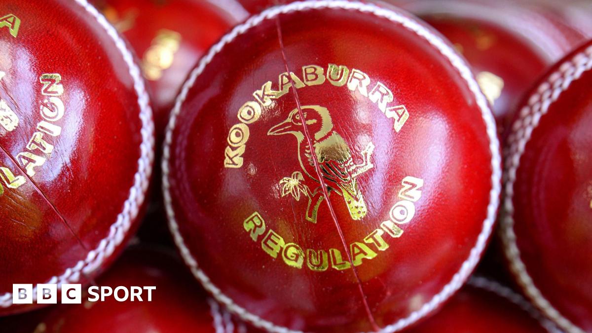 Kookaburra cricket balls