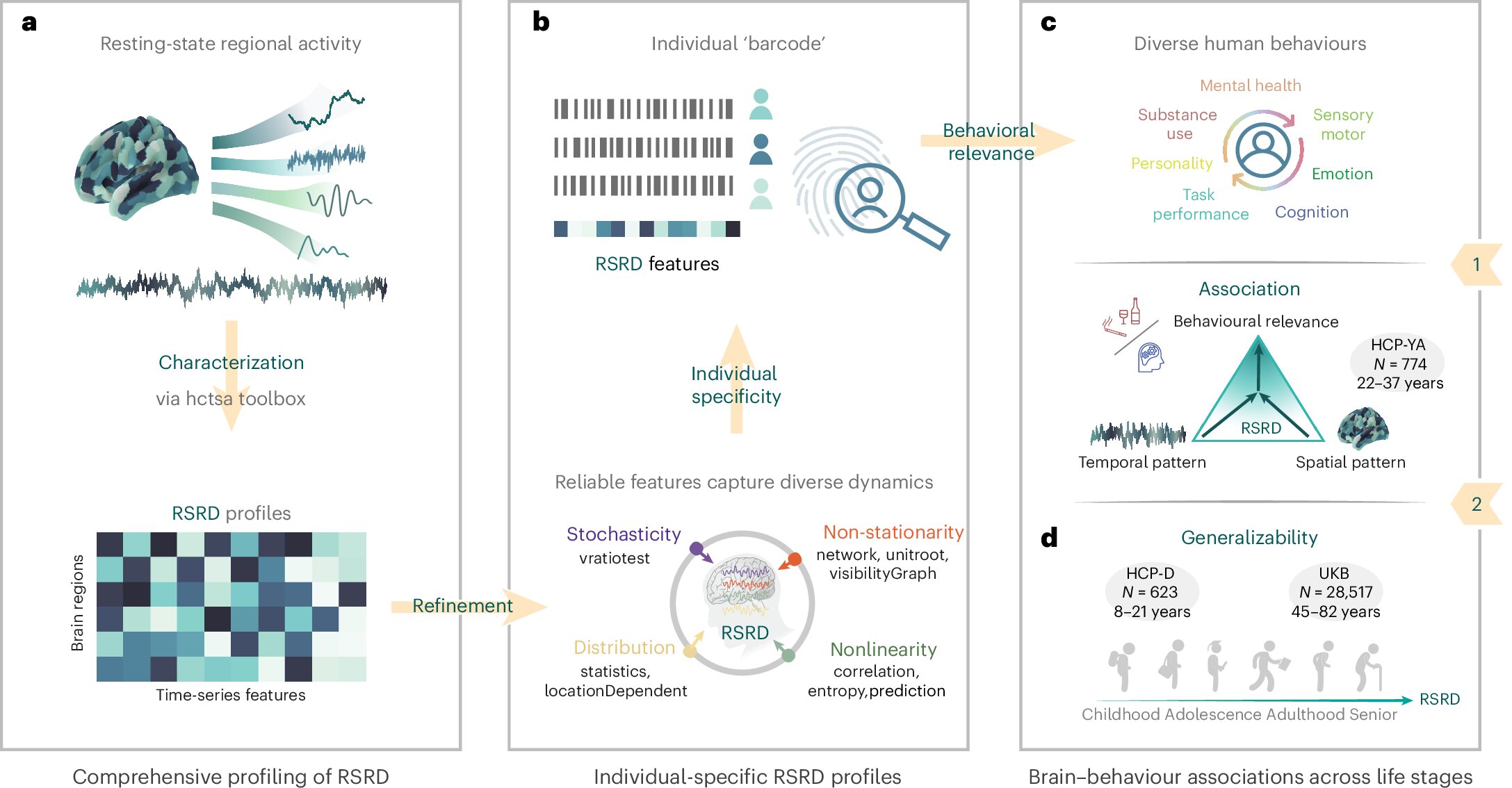 Dinâmica cerebral intra-regional ligada a características específicas de cada pessoa