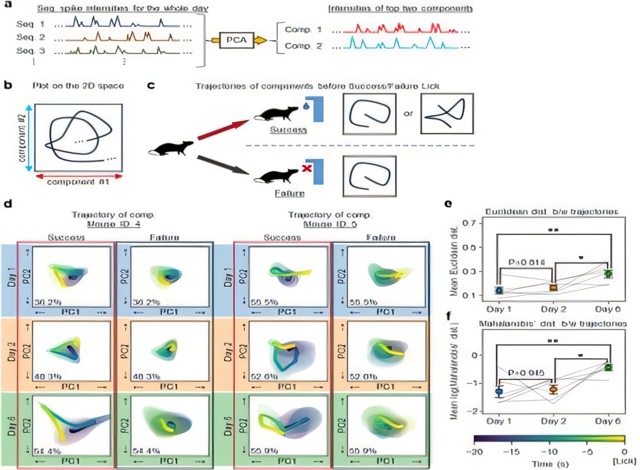 Dinâmica neuronal sequencial no córtex pré-frontal