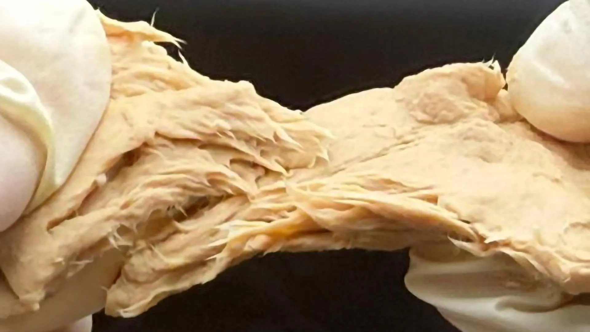 Este fungo projetado reduz as emissões e tem gosto de carne