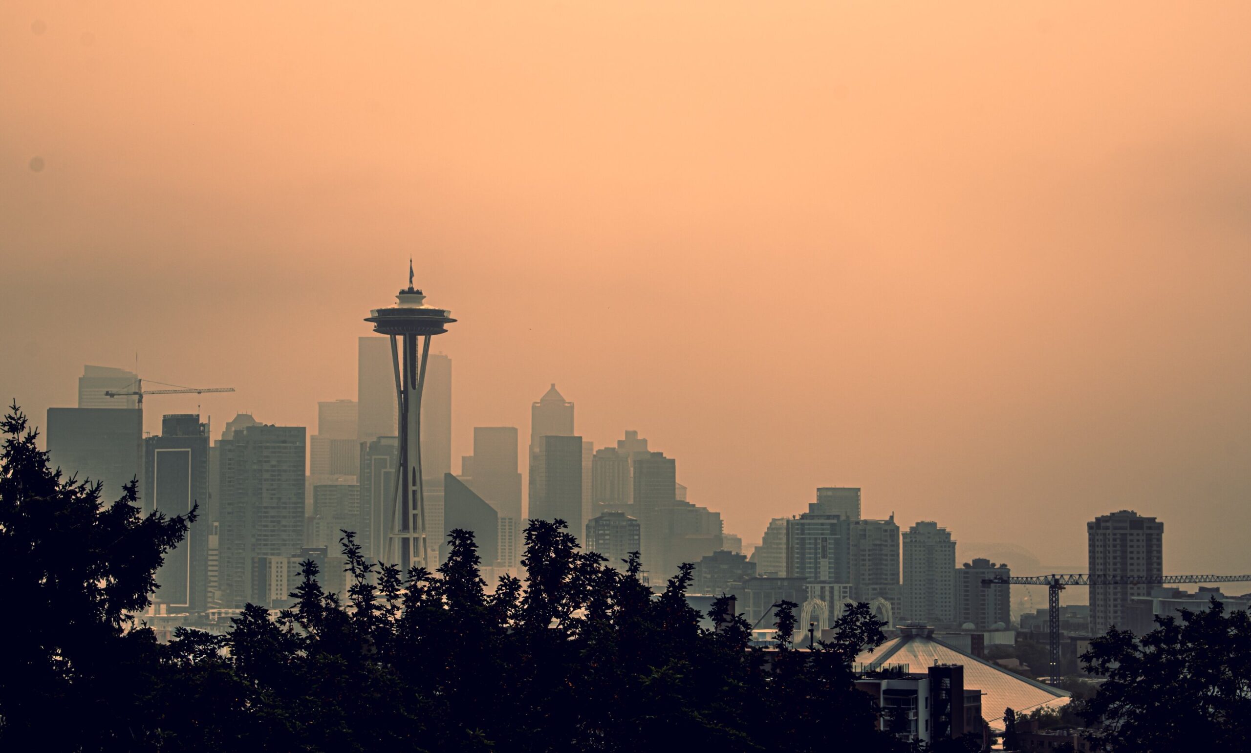 Exposição à fumaça de incêndio florestal durante a gravidez associada a maior risco de parto prematuro