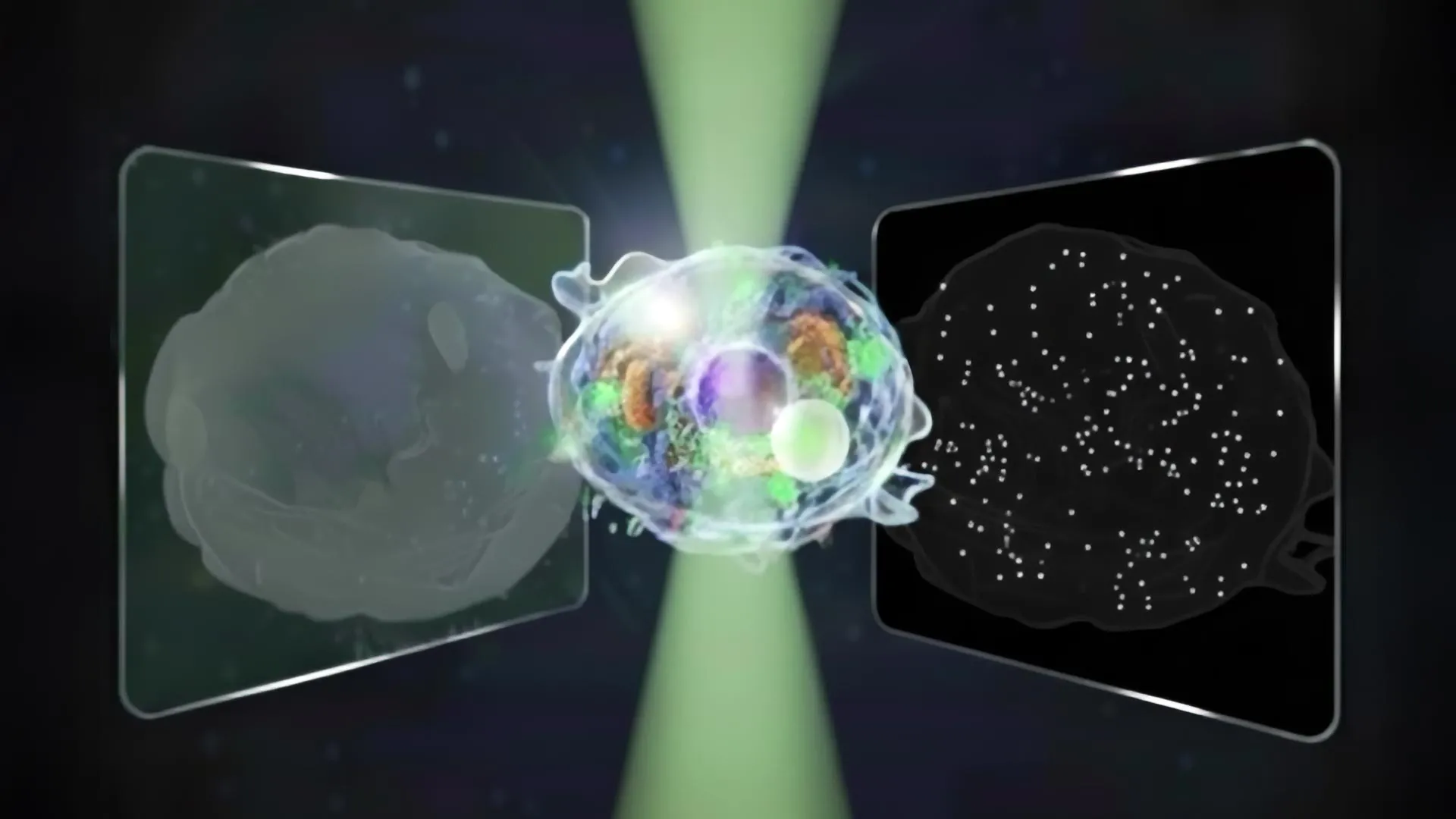 “Grande Microscópio Unificado” revela mundos micro e nano em uma única visão