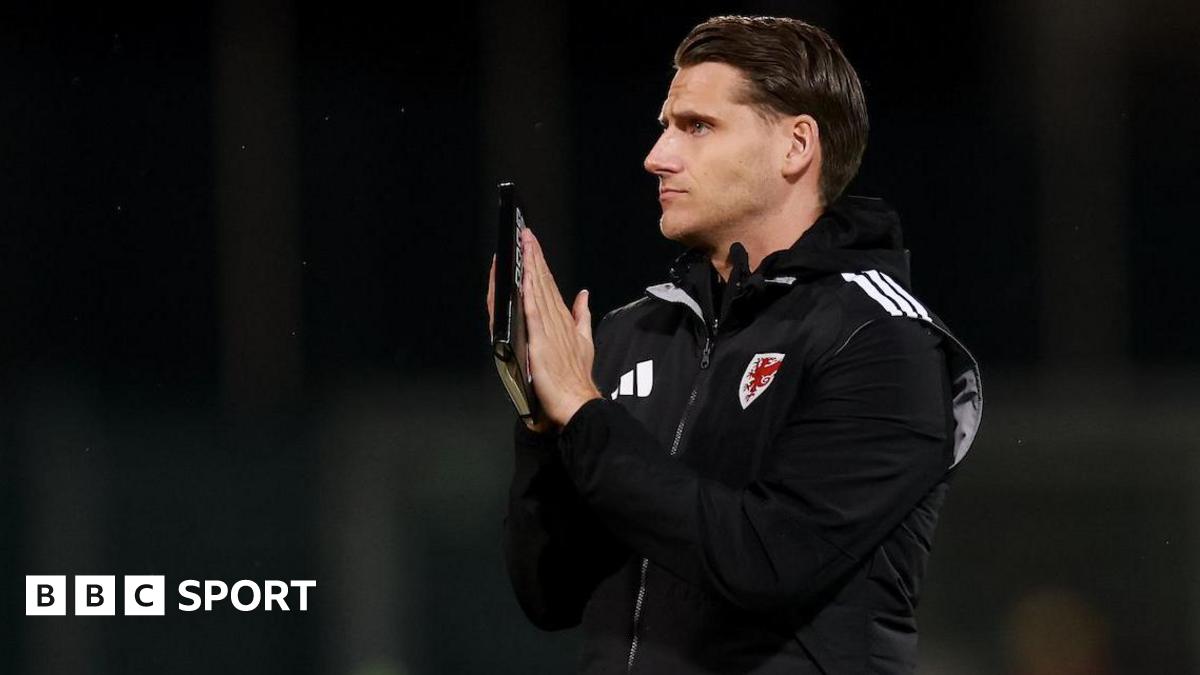 Piet Cremers applauds at the end of Wales' win in Liechtenstein