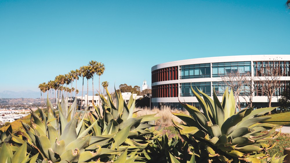 Loyola Film e Sony Electronics revelam primeiro grupo de laboratório de impacto social