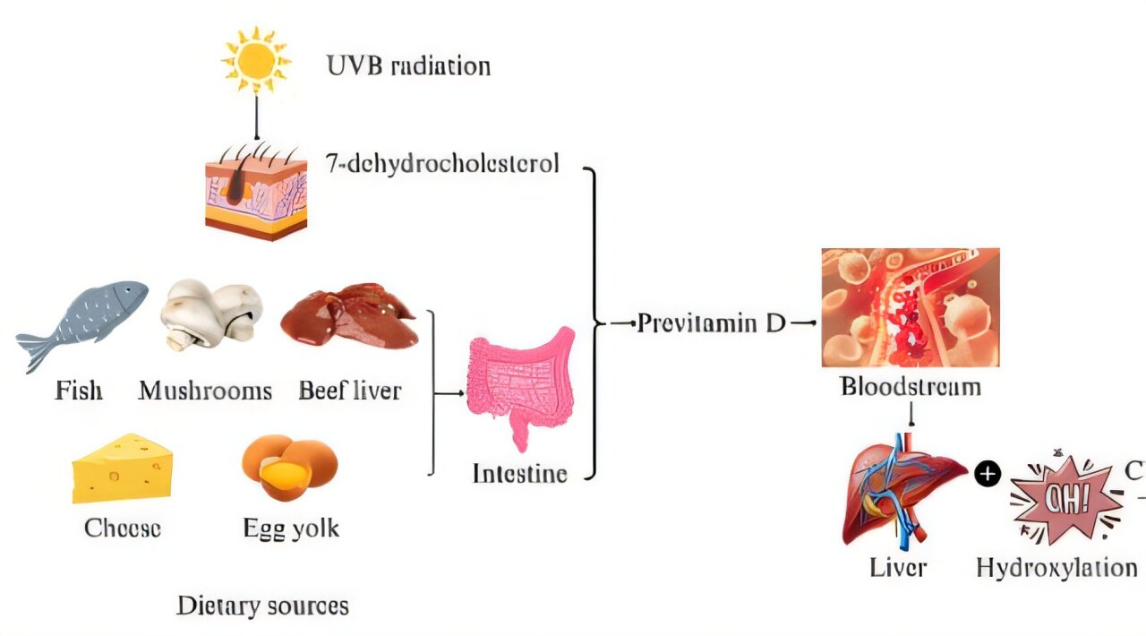 Menor vitamina D está consistentemente associada a maior depressão em adultos