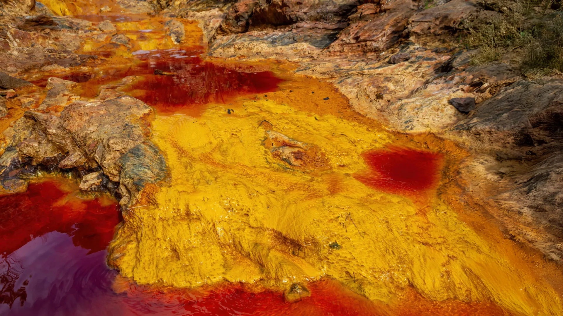 Micróbios que respiram ferrugem podem ajudar a salvar os oceanos da Terra