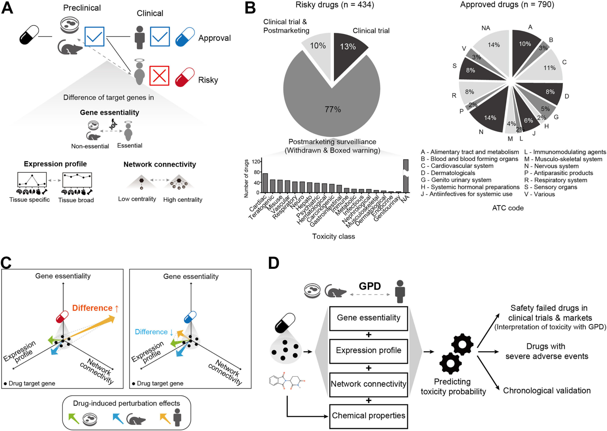 Modelo de IA prevê toxicidade de drogas usando diferenças entre modelos animais e humanos