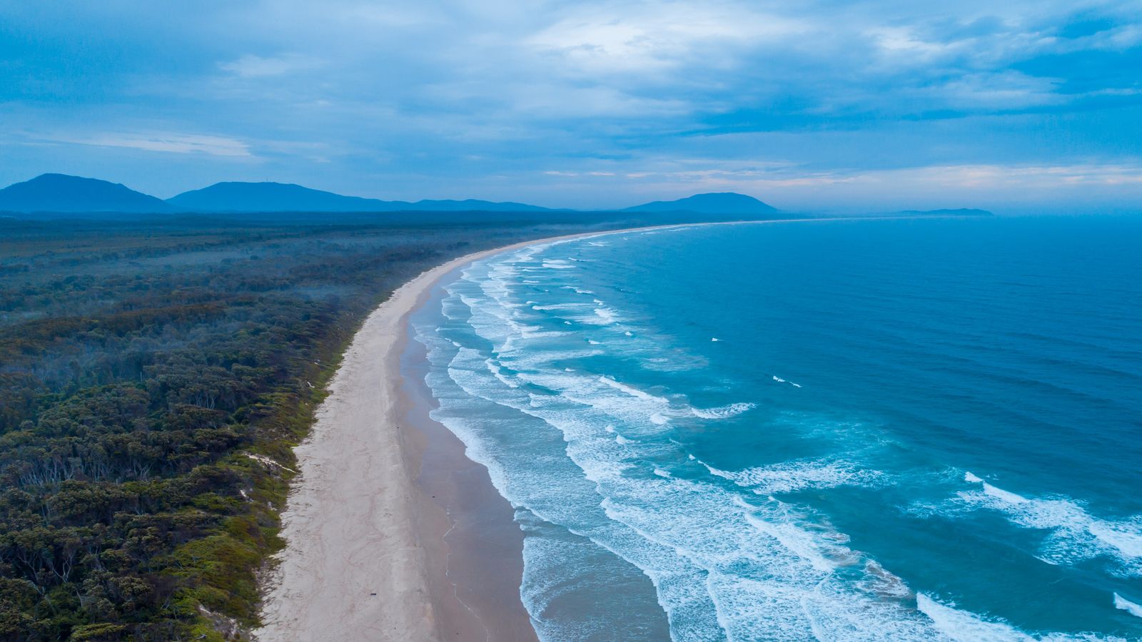 Mulher morta e homem ferido em ataque de tubarão em Nova Gales do Sul, Austrália | Notícias do mundo