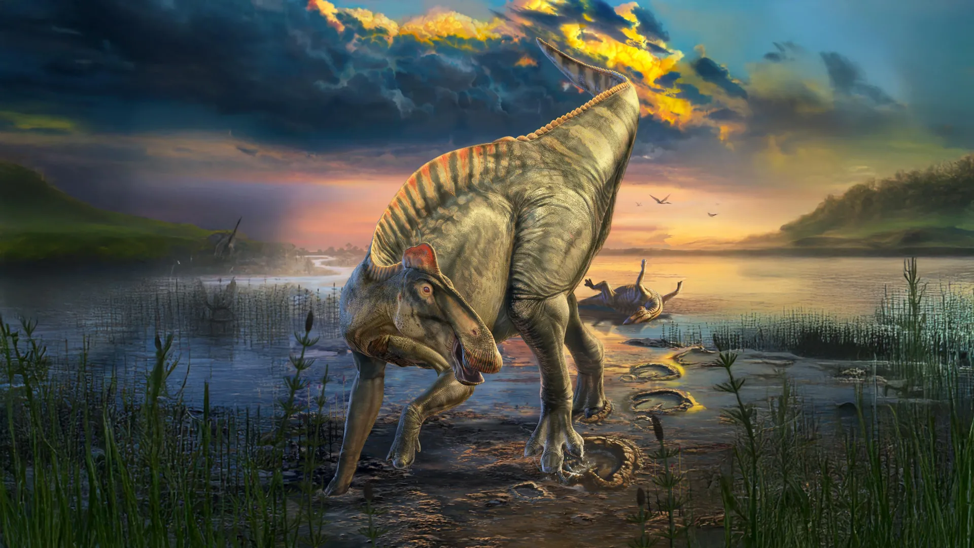 Múmia de dinossauro encontrada com cascos e uma crista escondida