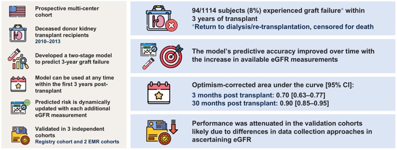 Nova ferramenta prevê falha do enxerto após transplante renal