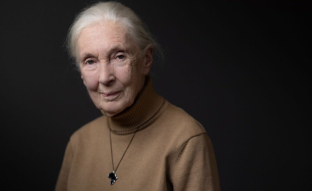 O apelo de Jane Goodall para as gerações futuras
