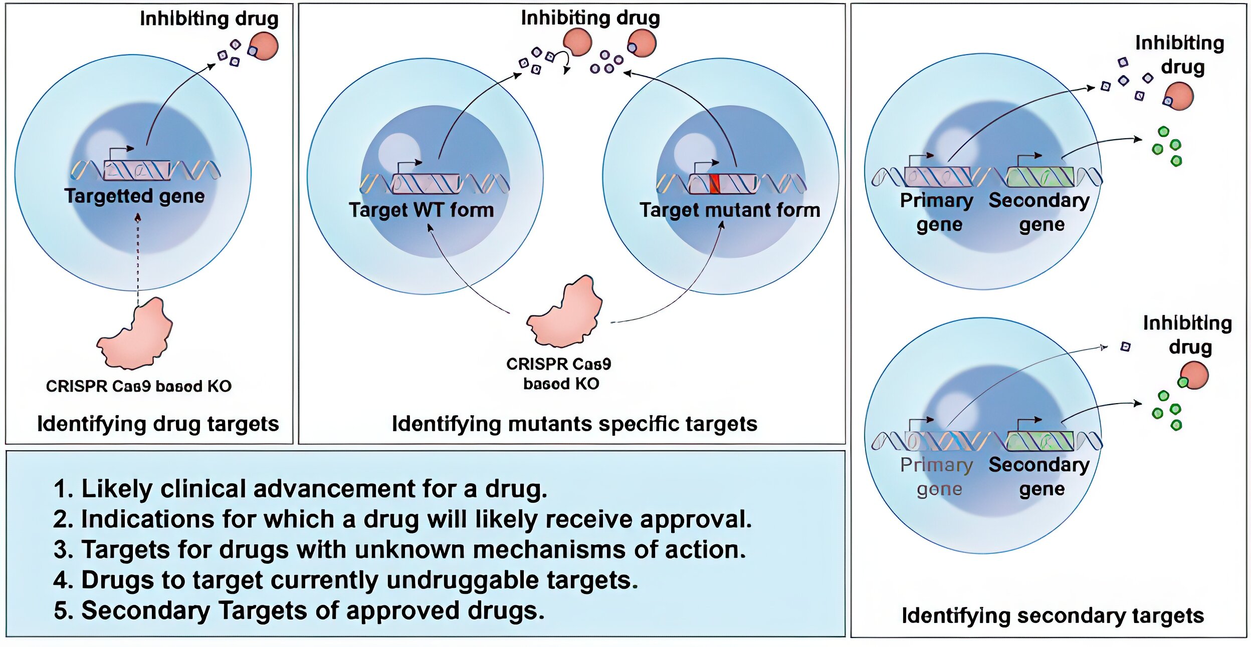 O mergulho computacional profundo revela alvos ocultos de medicamentos contra o câncer e oportunidades de reaproveitamento