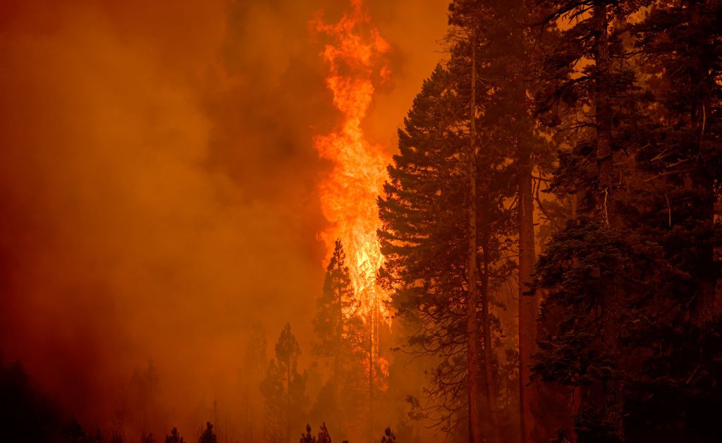 O mundo não cumpre a meta climática de Paris para 2025. E agora?