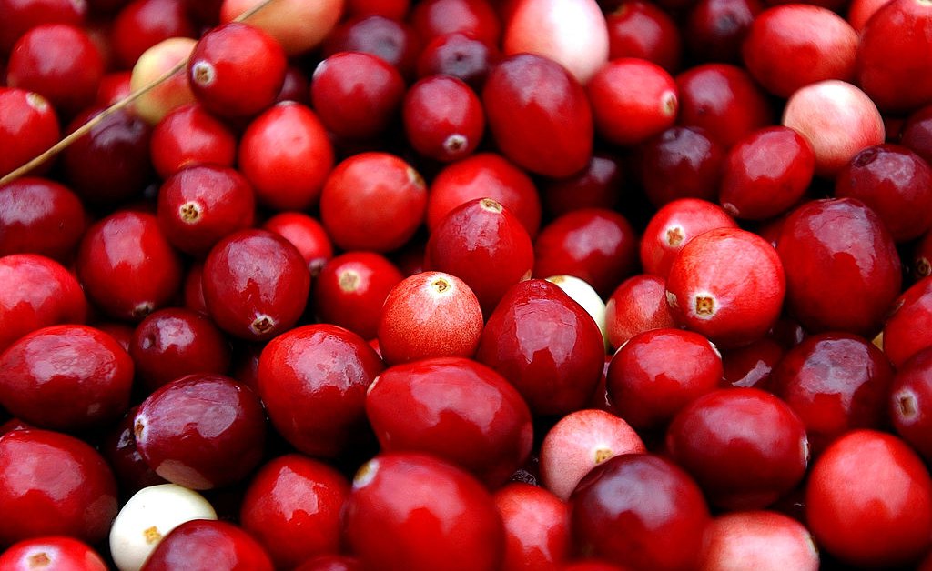 O que as mudanças climáticas significam para o seu jantar de ação de graças