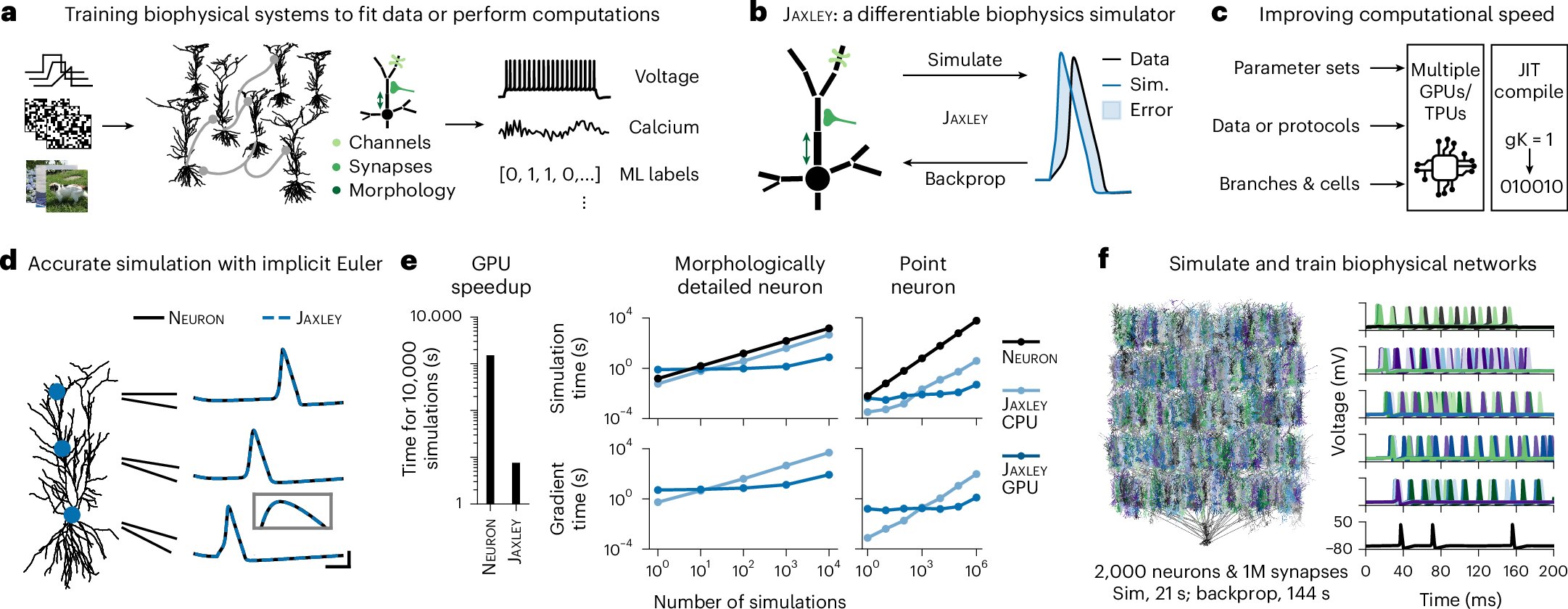 O software otimiza simulações cerebrais, permitindo-lhes completar tarefas cognitivas complexas