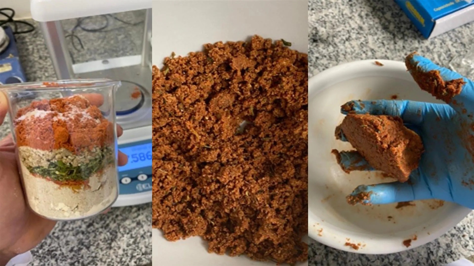 Os girassóis podem ser o futuro da "carne vegana"