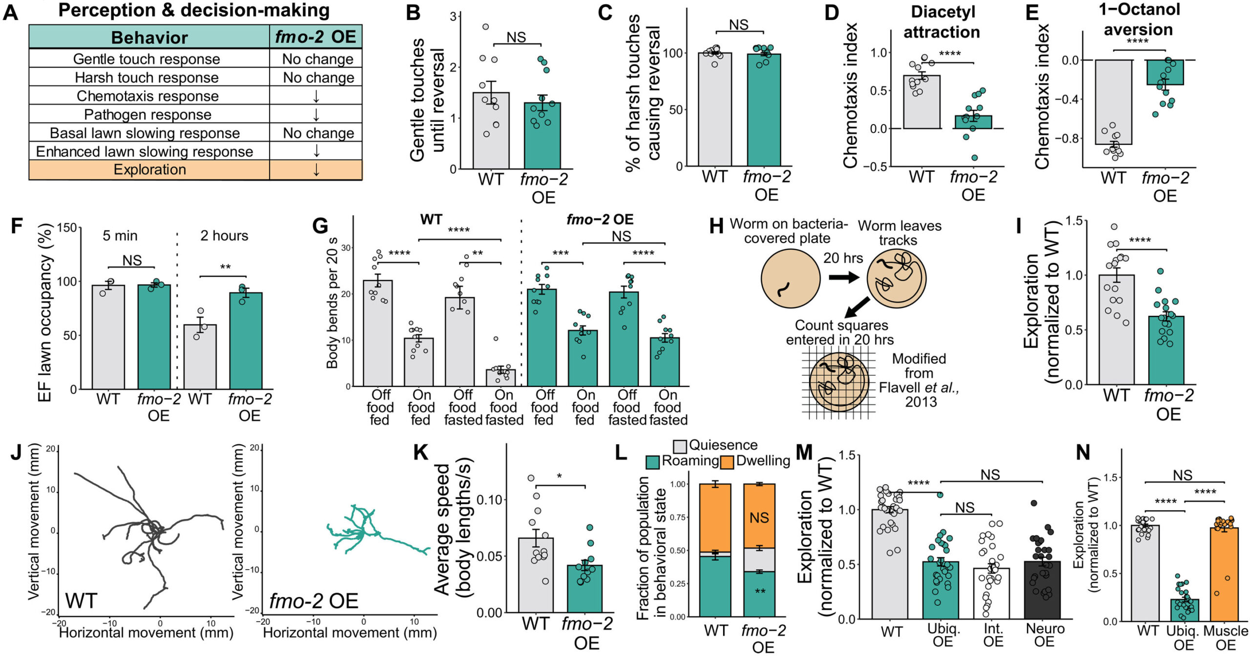 Os insights dos vermes podem ajudar os cientistas a aproveitar o poder da restrição alimentar para a longevidade