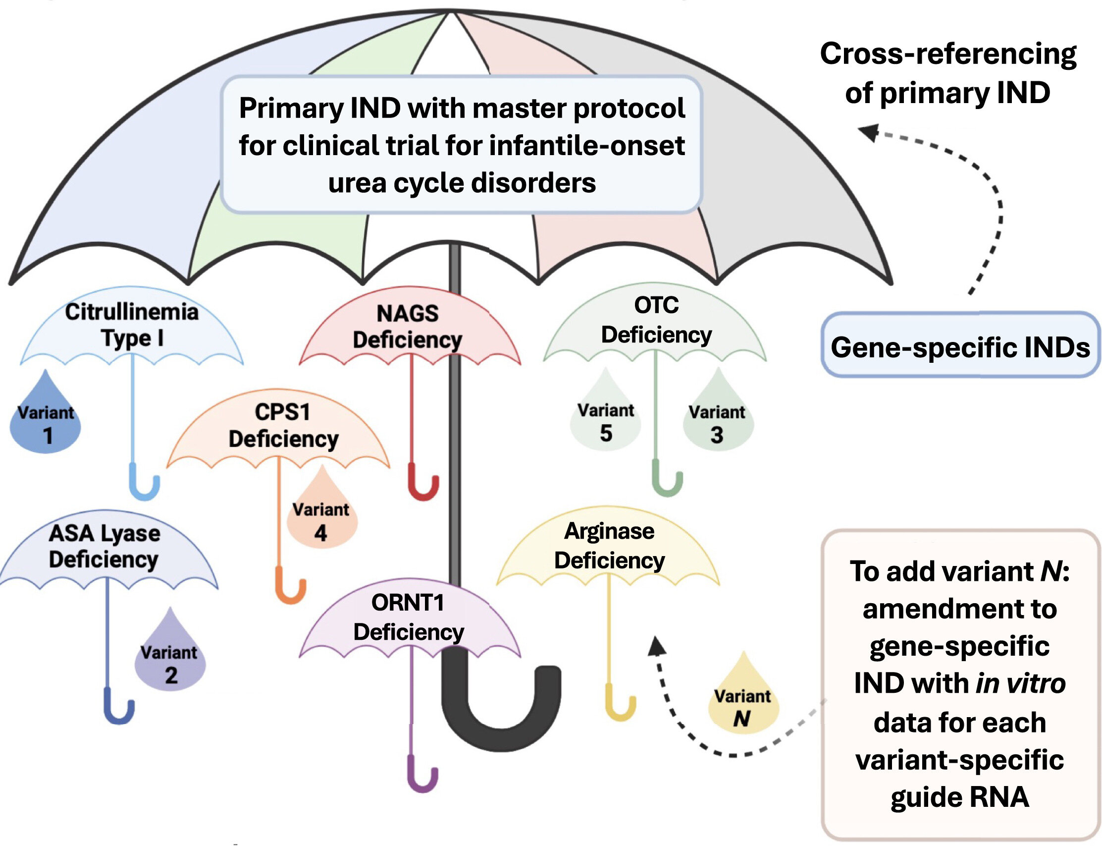 Pesquisadores testarão terapia genética para doenças raras com um novo protocolo de ensaio da FDA