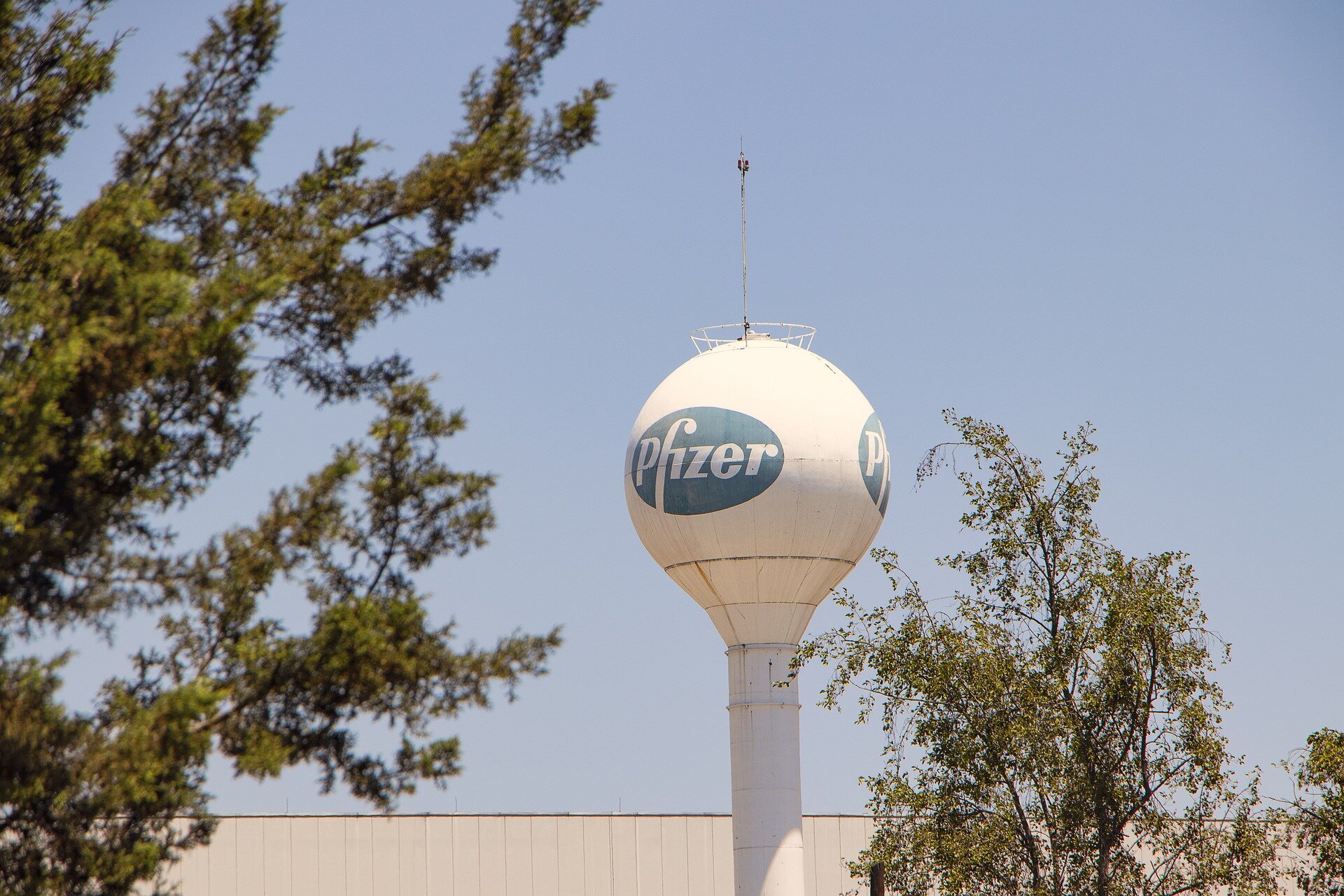 Pfizer prestes a comprar Metsera em acordo de US$ 10 bilhões após guerra de propostas