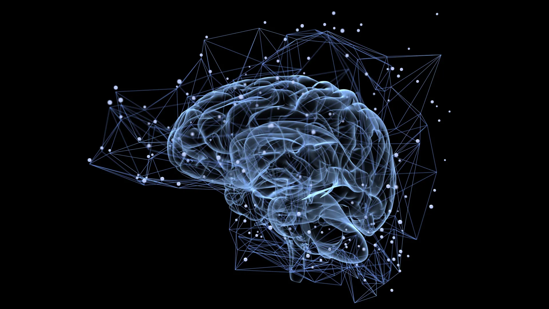 Por que algumas memórias duram a vida toda enquanto outras desaparecem rapidamente