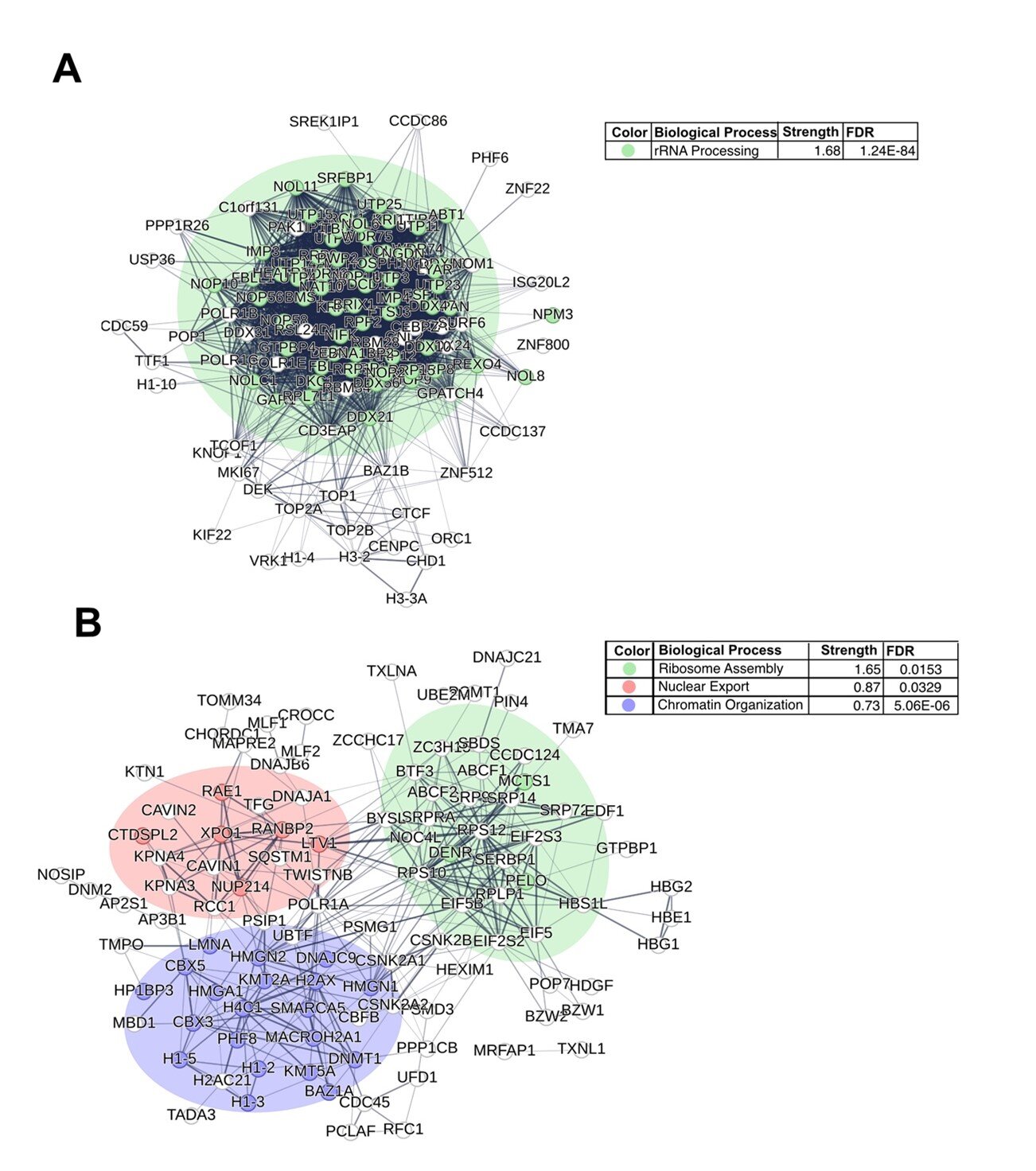 Sinal de transporte anormal no gene mutante UBTF impulsiona leucemia mieloide aguda de alto risco