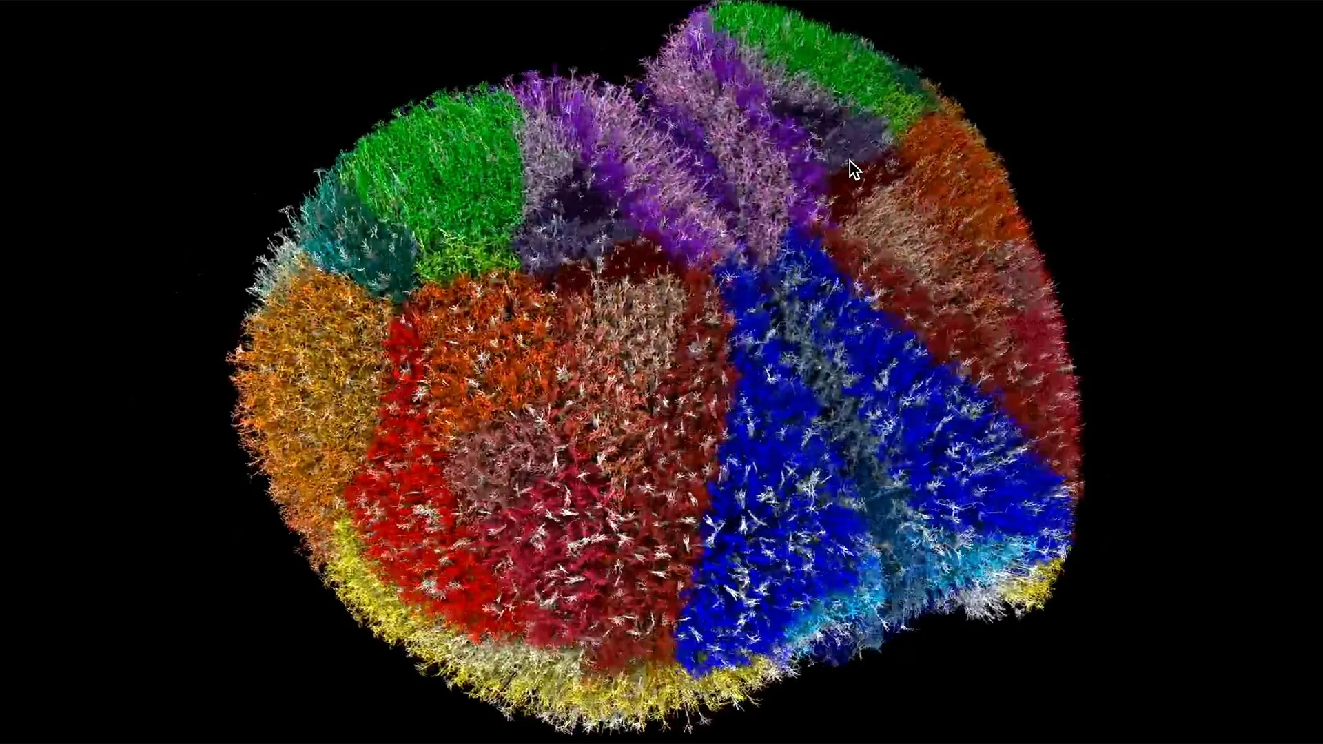 Supercomputador cria o cérebro virtual mais realista de todos os tempos