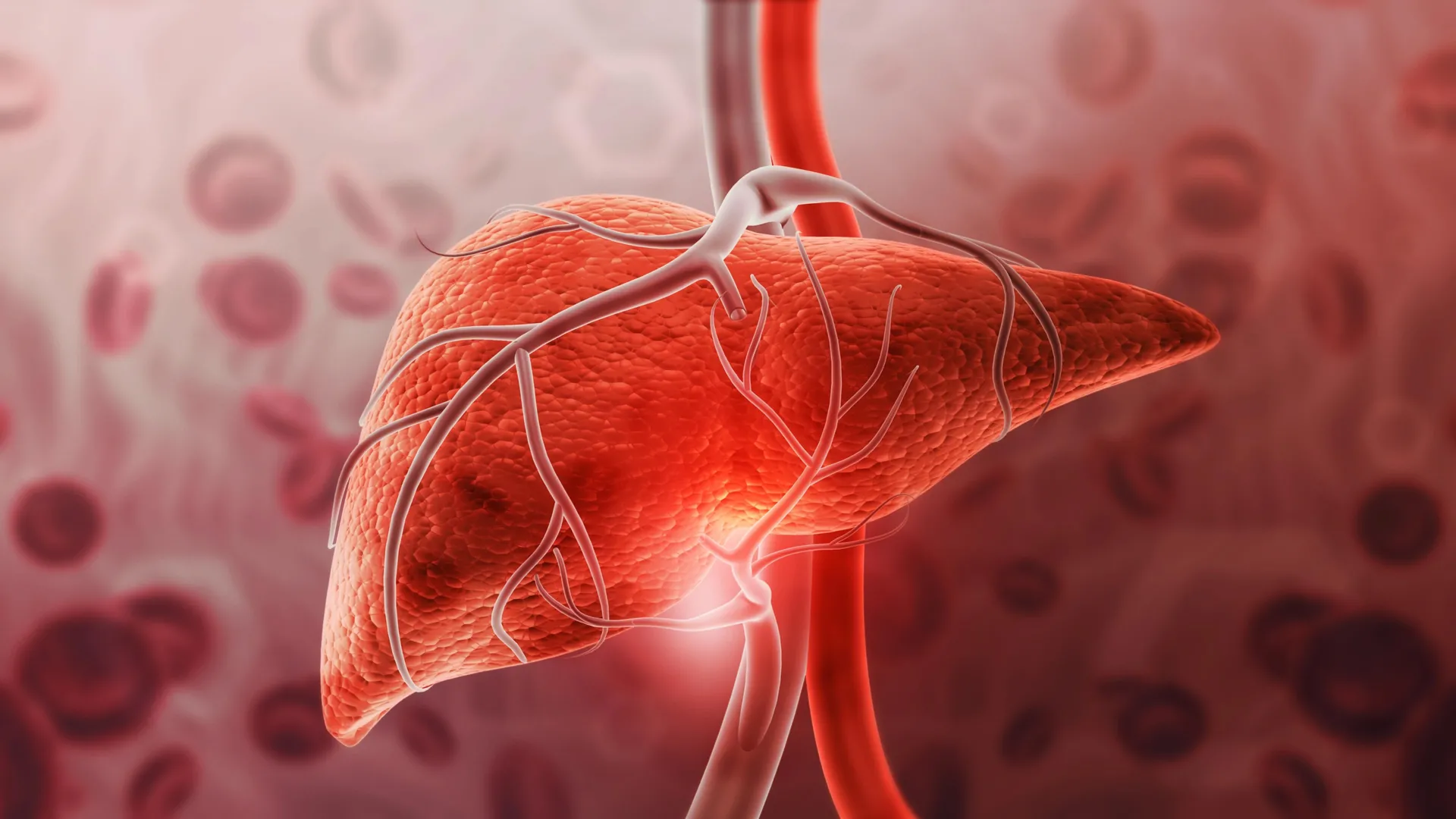 Toxina doméstica oculta triplica risco de doença hepática, segundo estudo