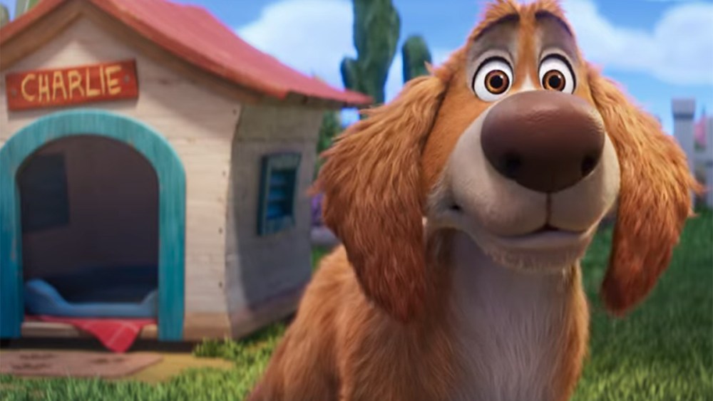 Trailer de estreia de 'Charlie the Wonderdog' com Owen Wilson