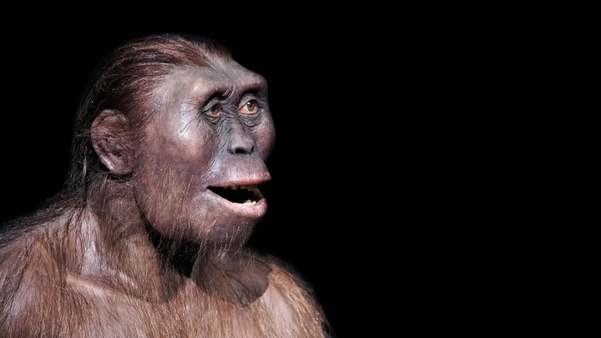 Um estranho pé antigo revela um primo humano escondido