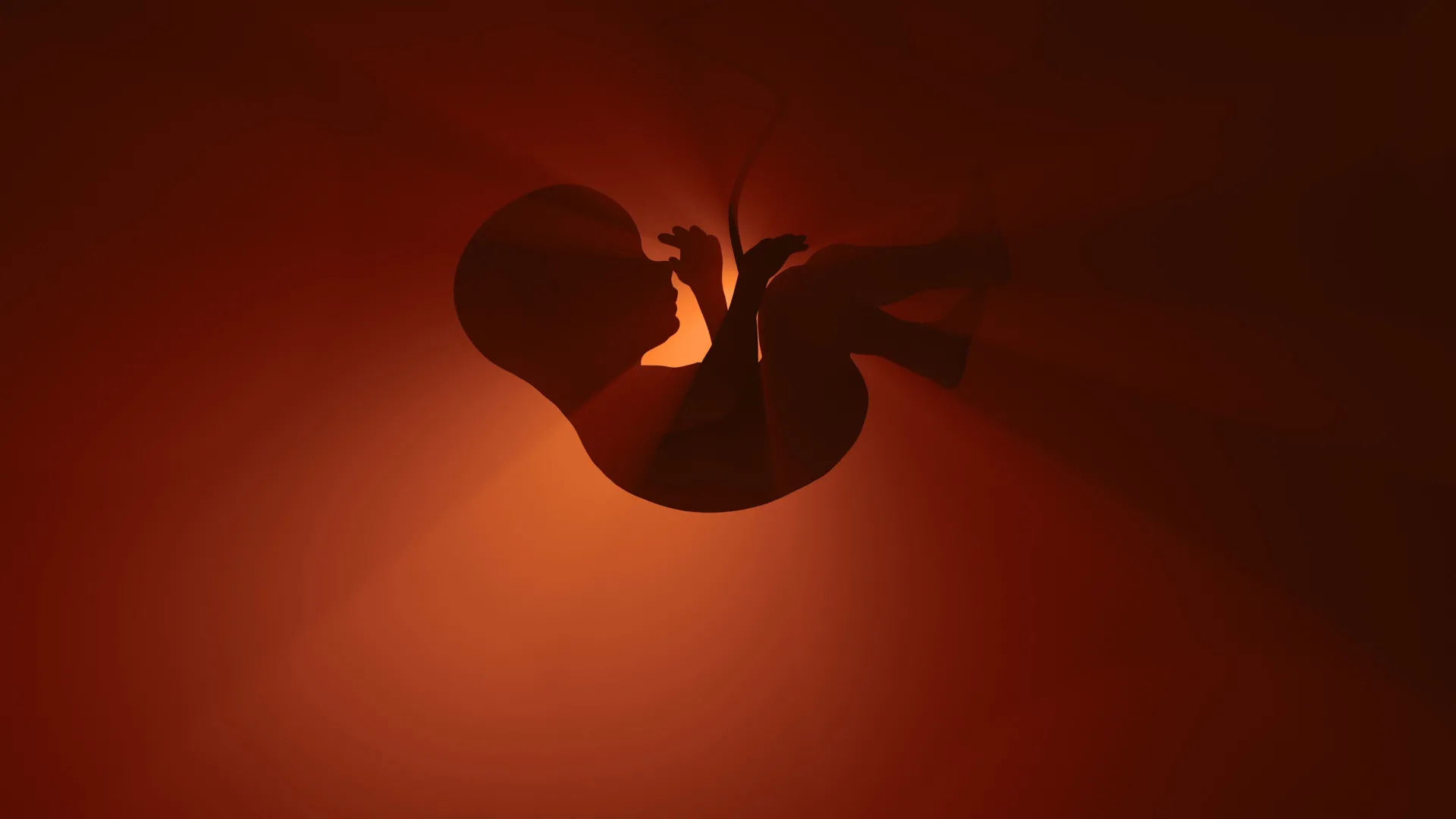 Um medicamento popular “essencial” pode estar colocando em risco os bebês em gestação