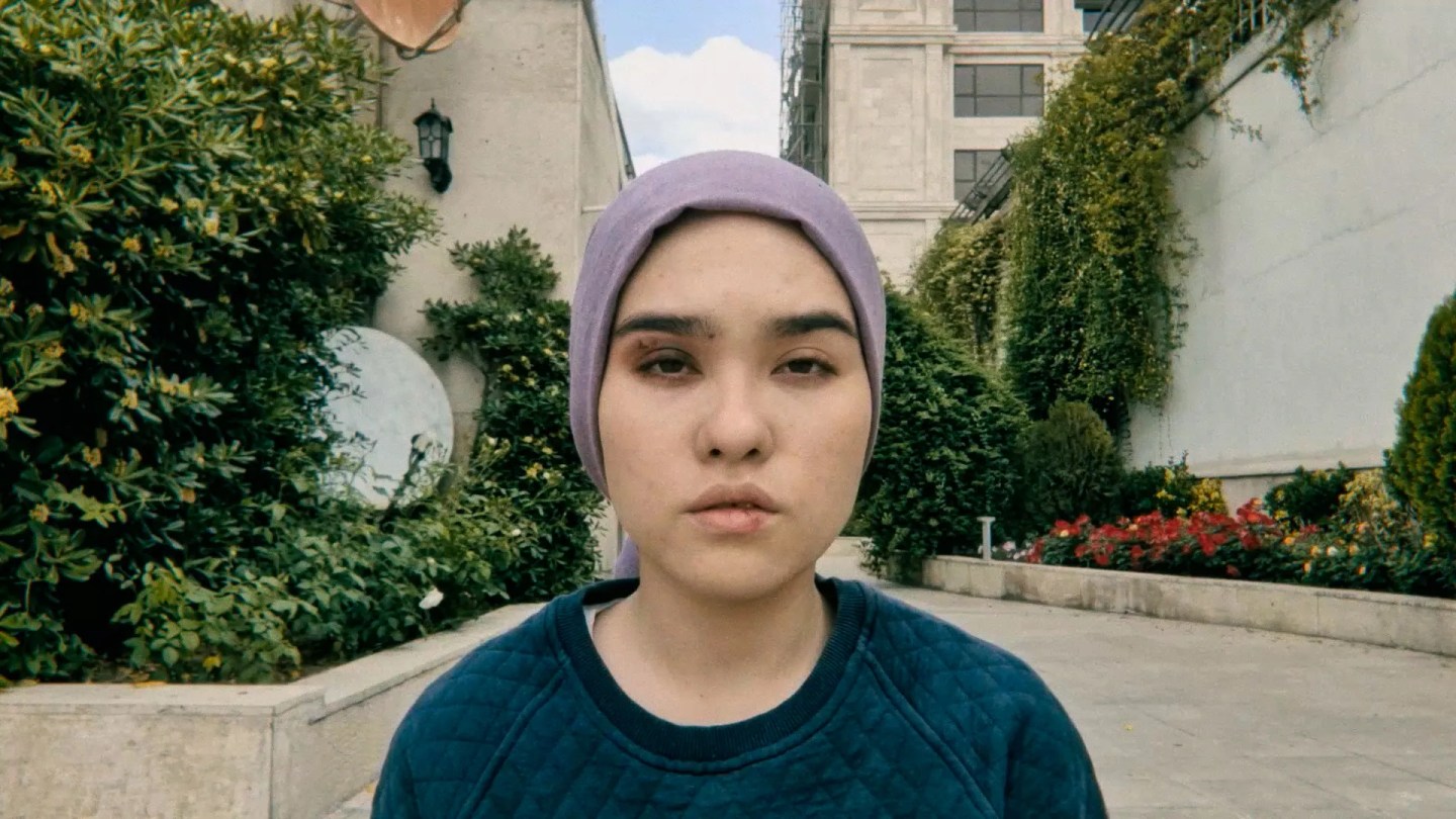 'Uma raposa sob uma lua rosa', 'Passado Futuro Contínuo'