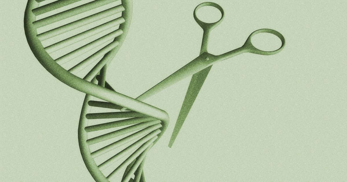 Uma terapia genética única pode reduzir o colesterol?