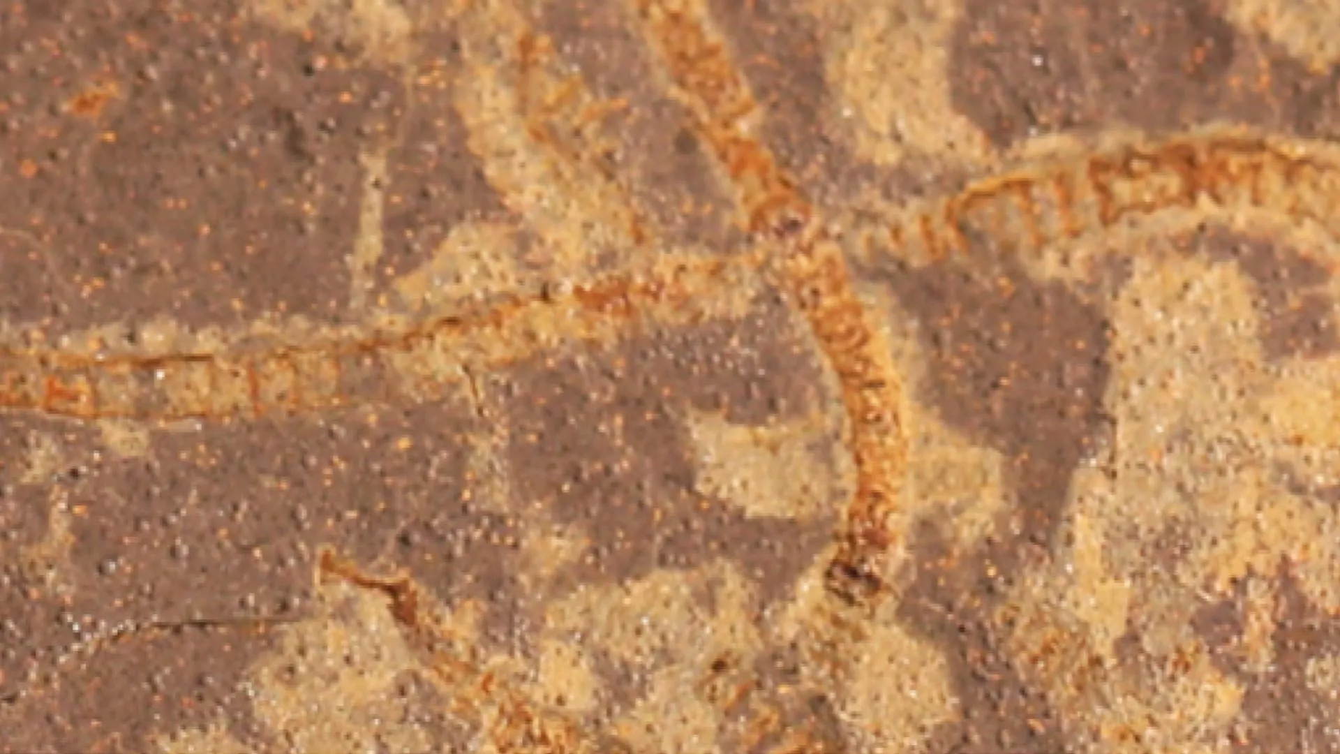 Vestígios químicos secretos revelam vida na Terra há 3,3 bilhões de anos