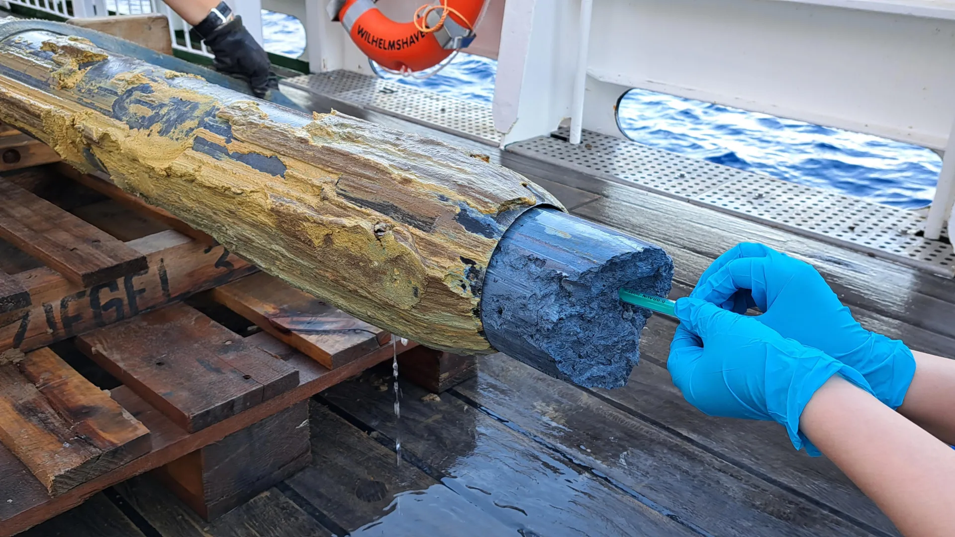 Vida encontrada em um lugar que os cientistas consideravam impossível