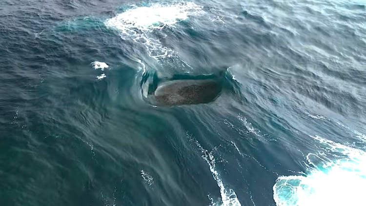 'A onda mais louca do mundo' parece renderizada digitalmente com tecnologia de IA