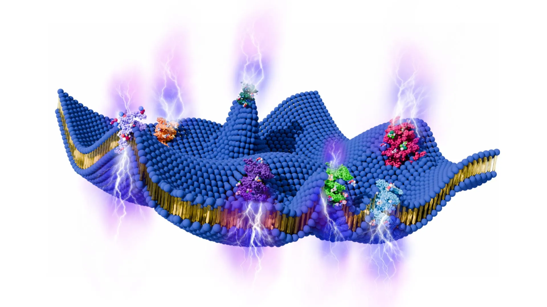 Células vivas podem gerar eletricidade a partir do movimento