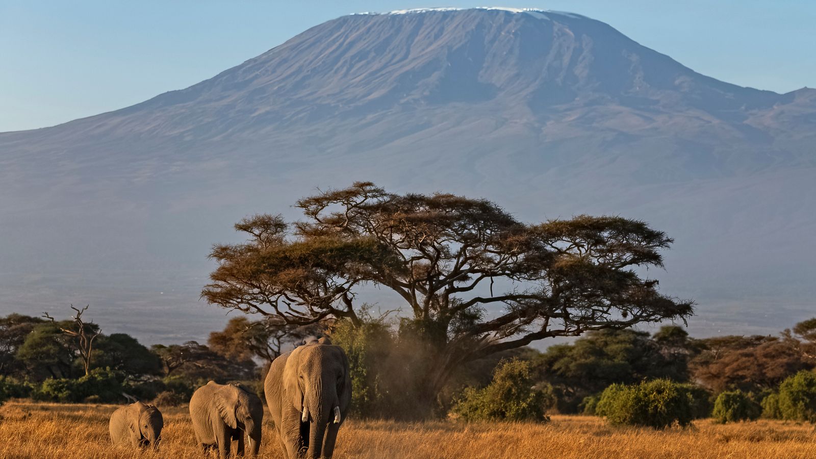 Mount Kilimanjaro seen from the Kenyan side on border with Tanzania Pic: AP