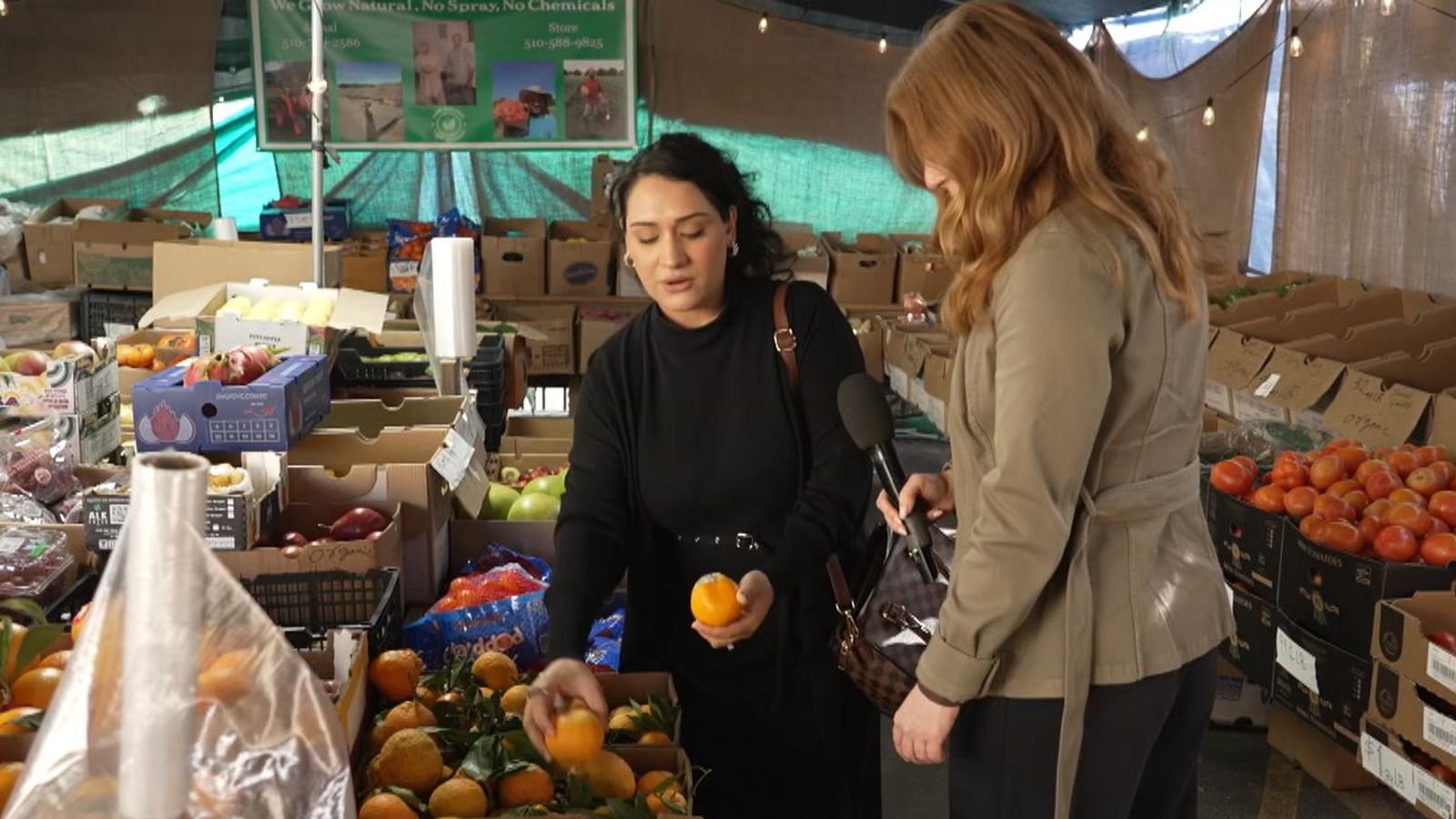 Nazi Hamini said Afghans don't believe in blaming many for the actions of one