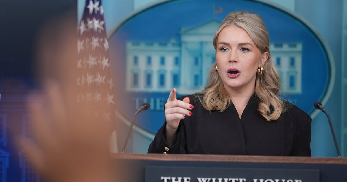 Mãe do sobrinho de Karoline Leavitt ataca secretário de imprensa após detenção do ICE