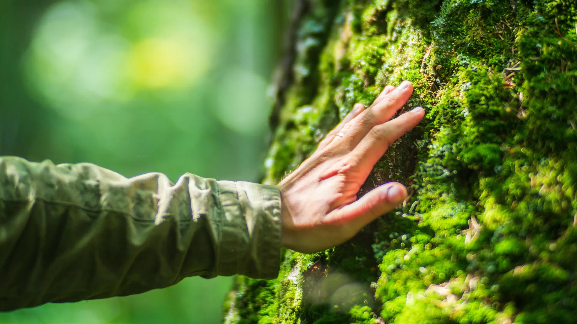 Os humanos foram construídos para a natureza e não para a vida moderna