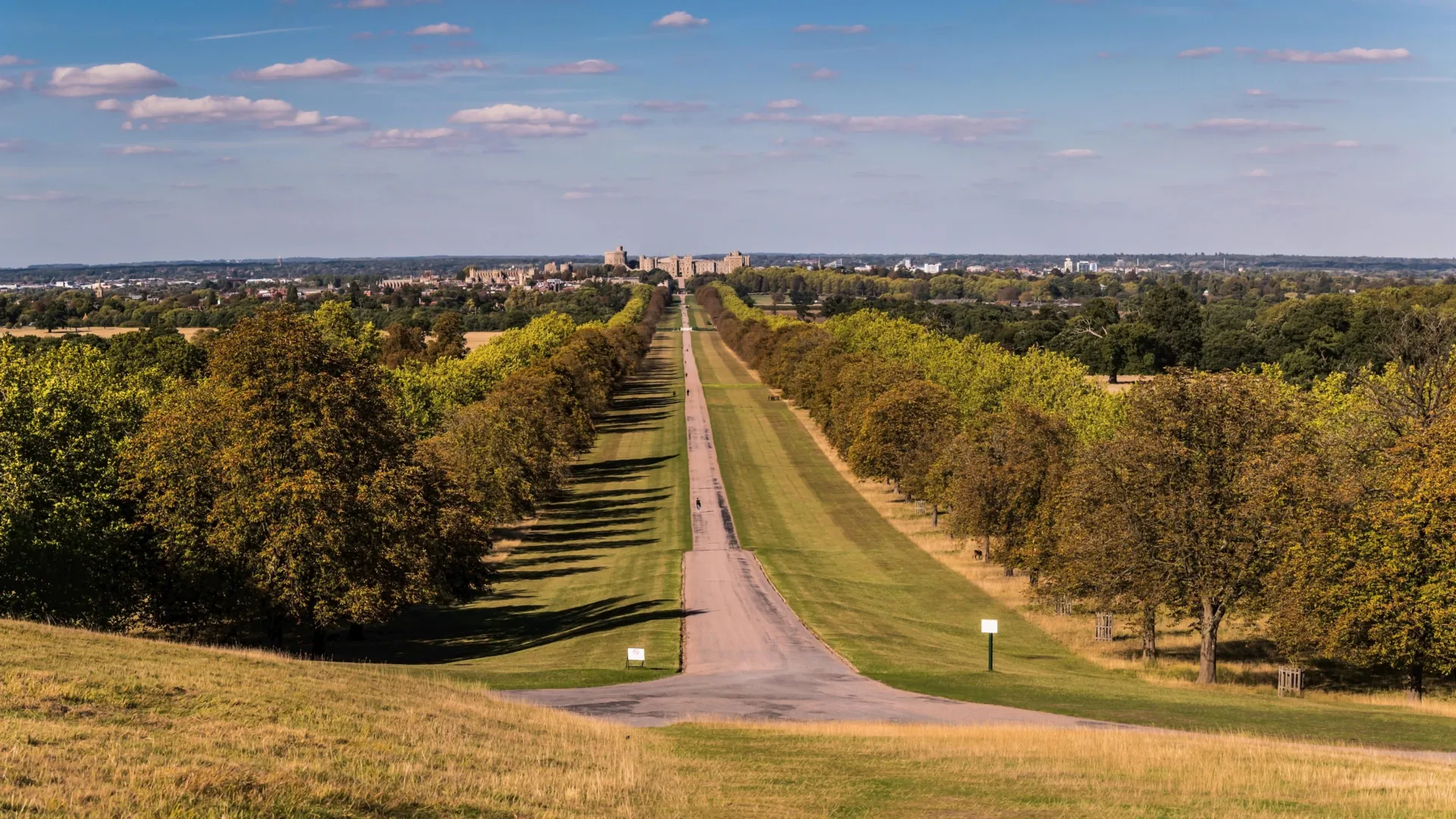 Por que uma caminhada longa pode ser melhor do que muitas caminhadas curtas