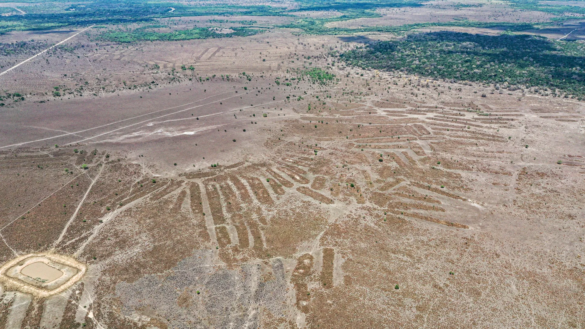 Um mundo amazônico perdido acaba de reaparecer na Bolívia