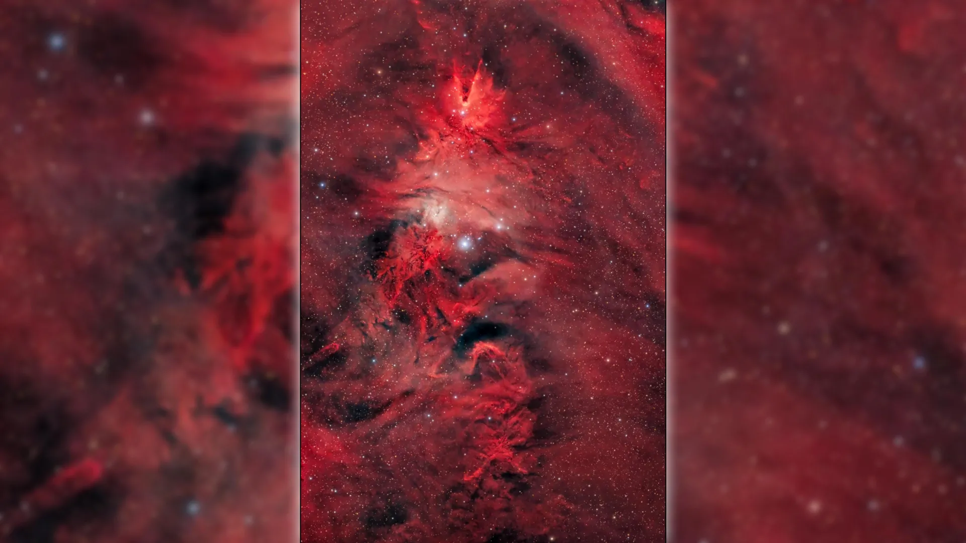 Uma árvore de Natal com 80 anos-luz de largura aparece no espaço