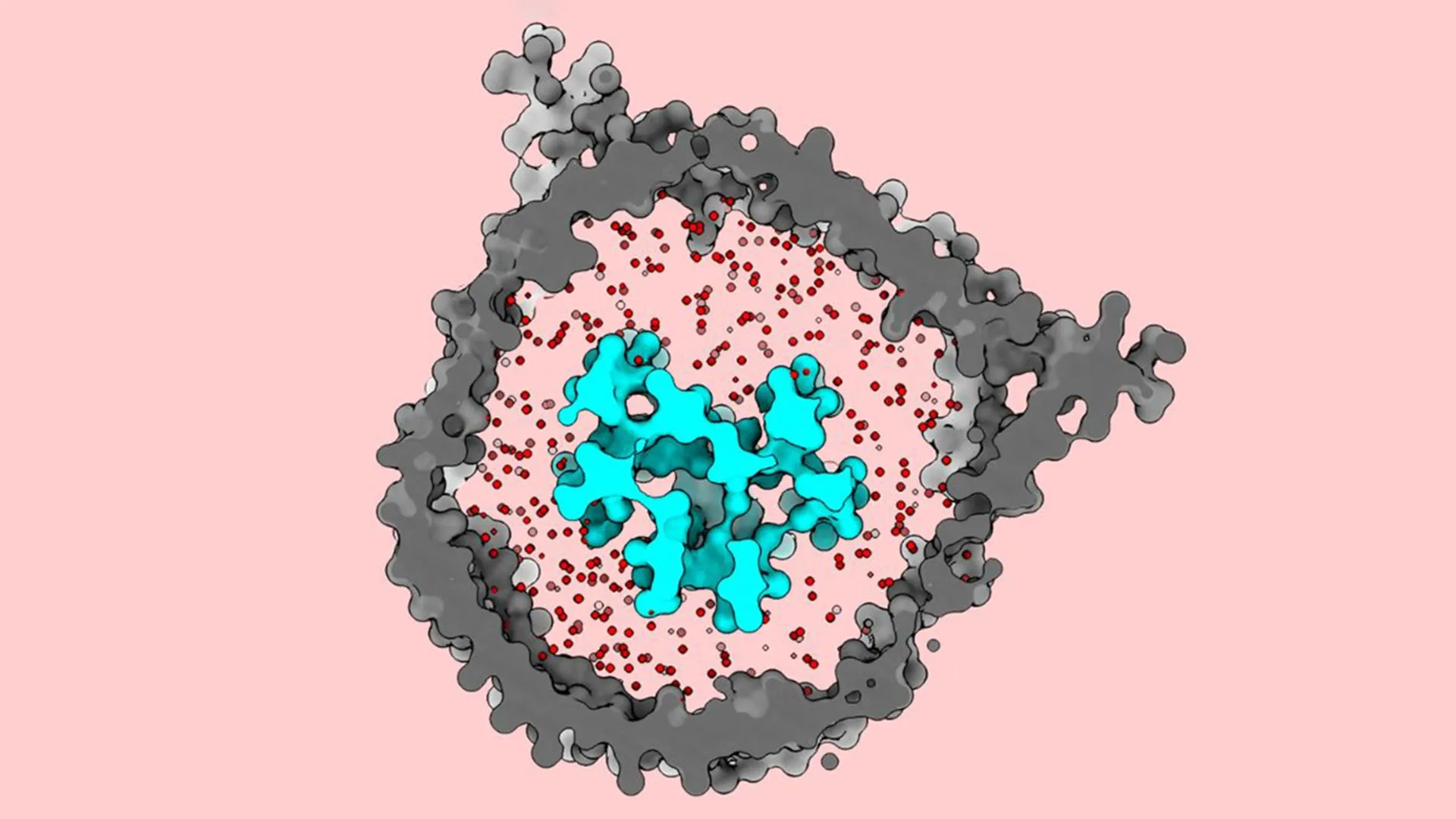 Uma troca oculta de células T pode fazer a imunoterapia contra o câncer funcionar para mais pessoas