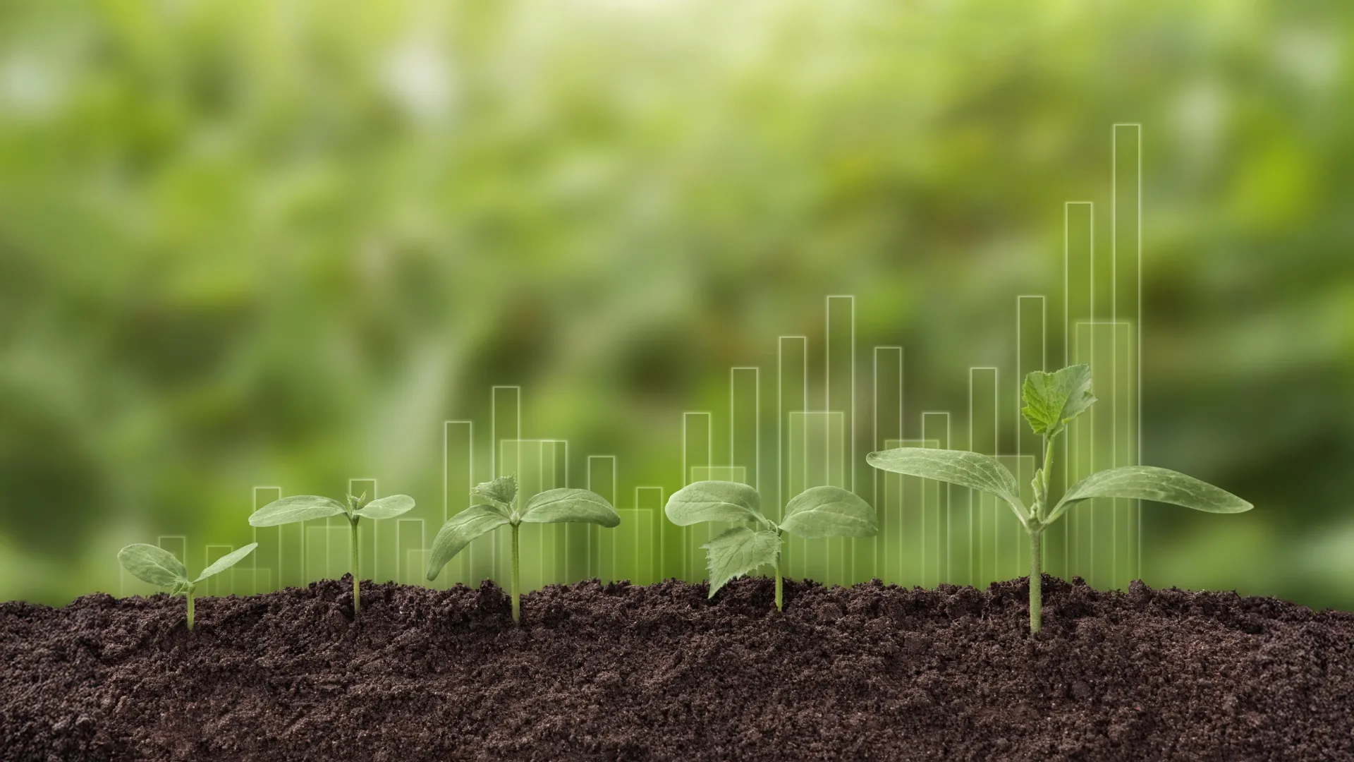 As plantas não conseguem absorver tanto CO2 quanto os modelos climáticos previam